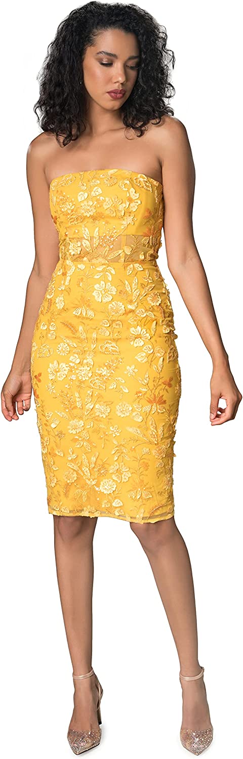 Dress the Population Women's Ynez Bodycon Midi Dress - Sithimy.com